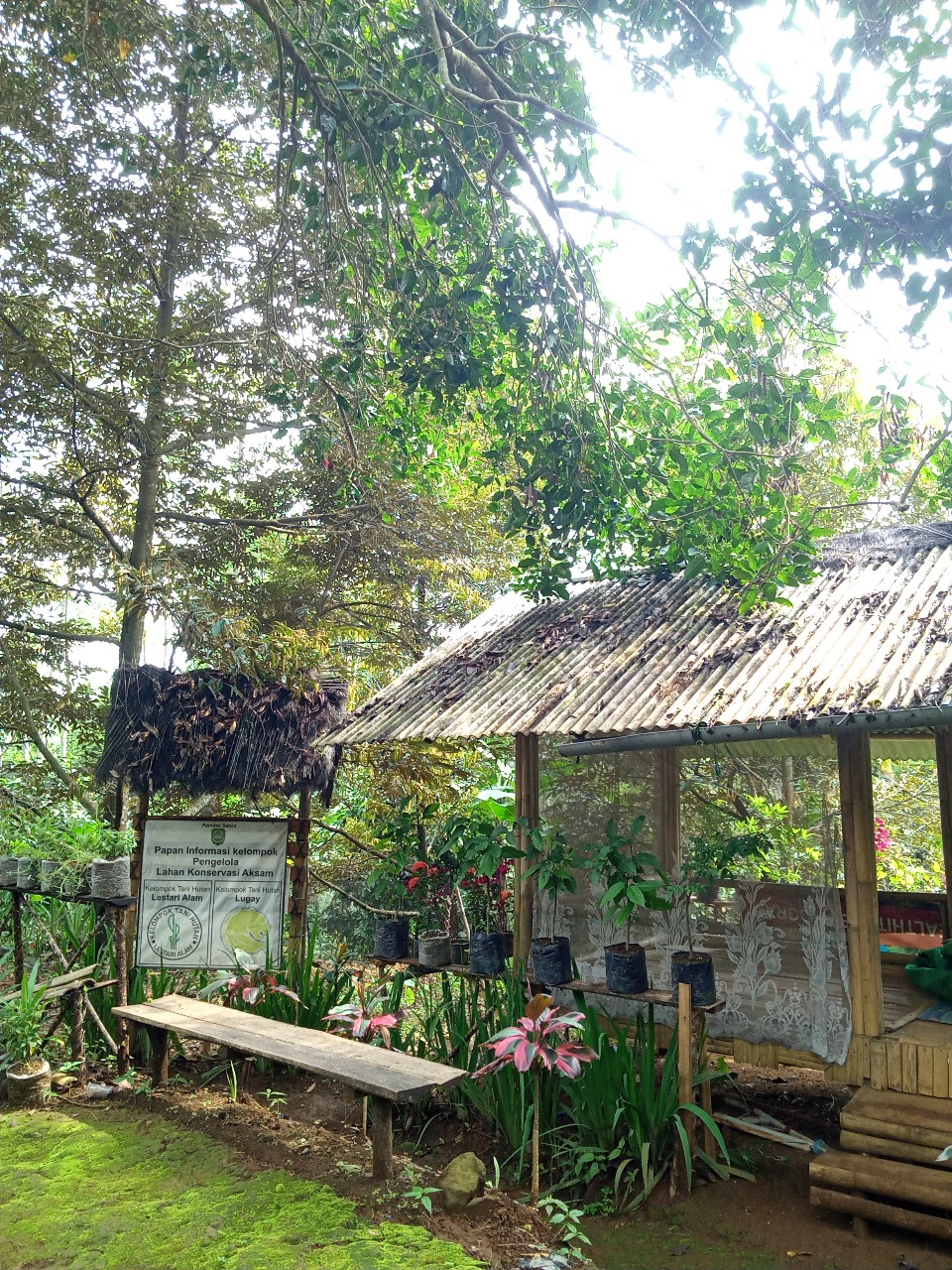 Hutan Konservasi